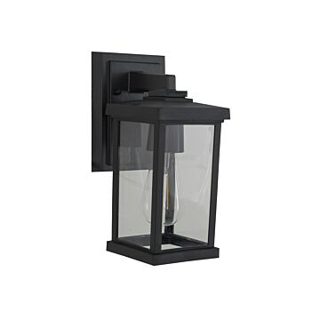 Resilience Lanterns One Light Outdoor Lantern in Textured Black by Craftmade