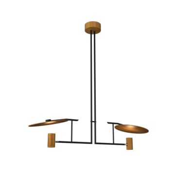 Dot 2-Light Pendant in Teak