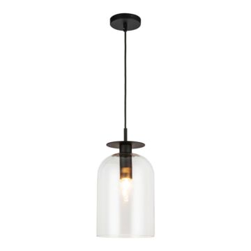 Sylvia One Light Pendant in Matte Black Clear Glass by Alora