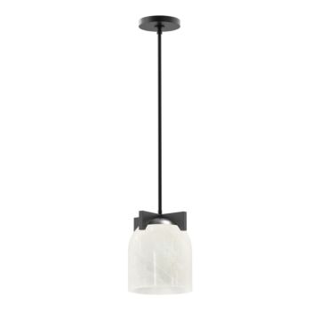 Scoop One Light Pendant in Black by Maxim