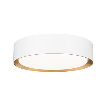 LED Flush Mount