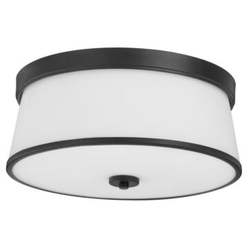 Weir  Ceiling Mount in Matte Black by Quorum