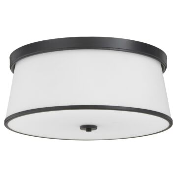 Weir  Ceiling Mount in Matte Black by Quorum