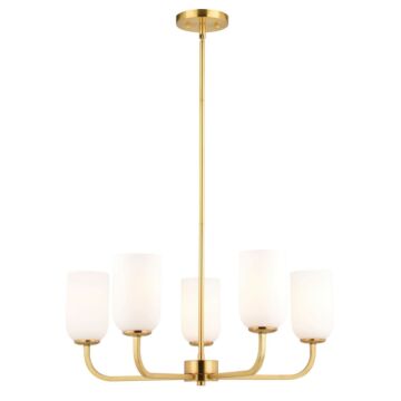 Shelby  Chandelier in Natural Brass by Vaxcel