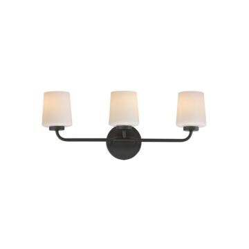 Durham  Bathroom Vanity Light in Black by Maxim Lighting