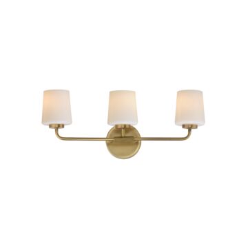 Durham  Bathroom Vanity Light in Natural Aged Brass by Maxim Lighting