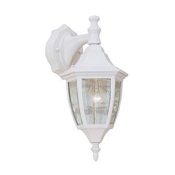 Builder Cast Aluminum 1-Light Wall Lantern in White