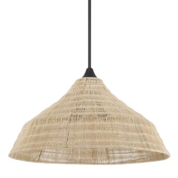 Agoura  Pendant in Matte Black by Hunter Fans