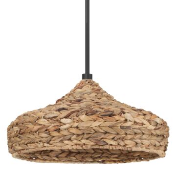 Cambria  Pendant in Matte Black by Hunter Fans