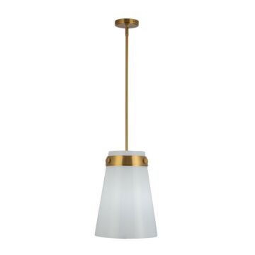 Dahlia  Pendant in Brushed Brass by Artcraft