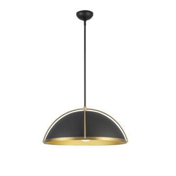 Dahlia  Pendant in Black, Brushed Brass by Artcraft