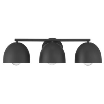 Erling  Bathroom Vanity Light in Matte Black by Hunter Fans