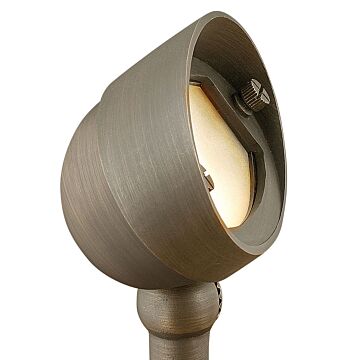 Hardy Island Sm. Wall Wash Spot Light 1-Light LED Flood Light in Matte Bronze