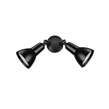 TwoLightSecurityFloodLightinPowderCoatedBlackbyMillennium