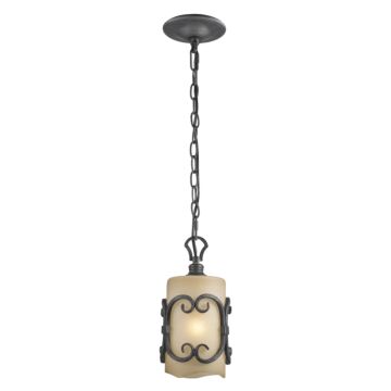 Madera BI One Light Mini Pendant in Black Iron by Golden