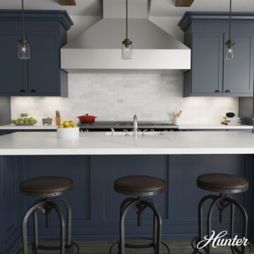 Hunter Devon Park 1-Light Mini Pendant in Onyx Bengal