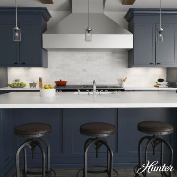 Hunter Devon Park 1-Light Mini Pendant in Brushed Nickel