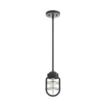 Hunter Starklake 1-Light Mini Pendant in Noble Bronze