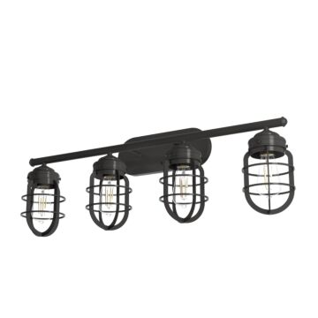 Hunter Starklake 4-Light Bathroom Vanity Light in Noble Bronze