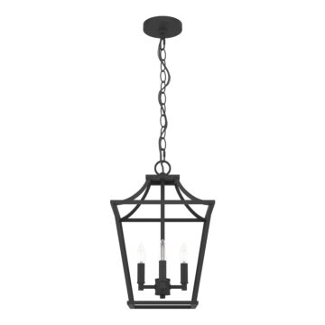 Hunter Laurel Ridge 4-Light Lantern Pendant in Natural Iron