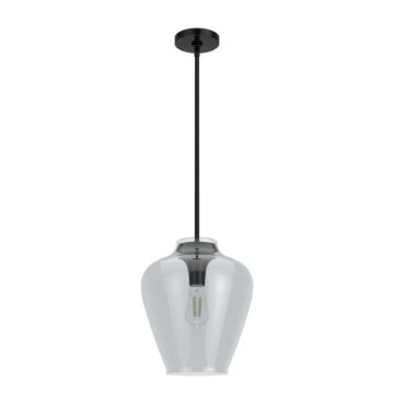 Hunter Vidria Smoked Glass 1-Light 12 Inch Pendant in Matte Black