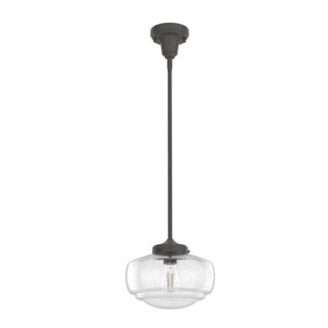 Hunter Saddle Creek Clear Seeded Glass 1-Light 10 Inch Pendant in Noble Bronze