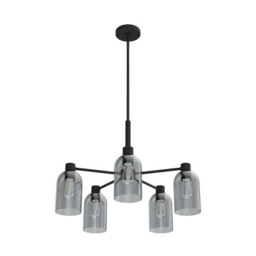 Hunter Lochmeade Smoked Glass 5-Light Chandelier in Natural Iron