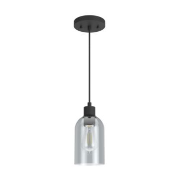 Hunter Lochmeade Smoked Glass 1-Light Mini Pendant in Natural Iron
