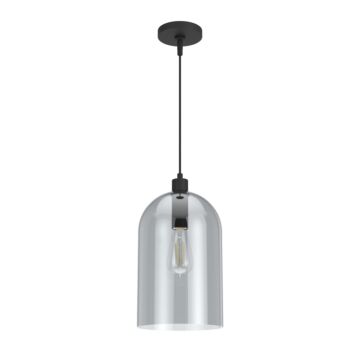 Hunter Lochmeade Smoked Glass 1-Light Large pendant in Natural Iron