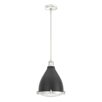 Hunter Bluff View 1-Light Pendant in Flat Matte Black