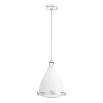 Hunter Bluff View 1-Light Pendant in Fresh White