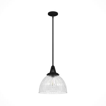 Hunter Cypress Grove 1-Light Pendant in Natural Iron