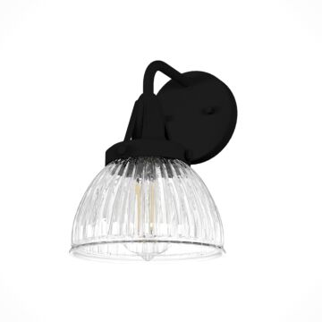 Hunter Cypress Grove 1-Light Wall Sconce in Natural Iron