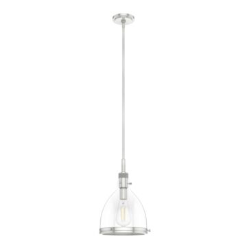 Hunter Van Nuys 1-Light Pendant in Brushed Nickel