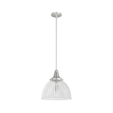 Hunter Cypress Grove 1-Light Pendant in Brushed Nickel