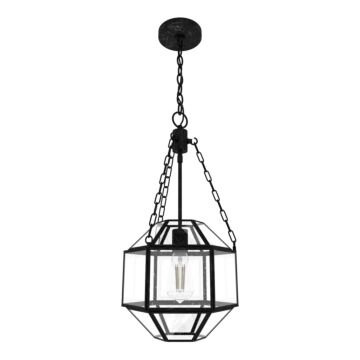 Hunter Indria 1-Light Pendant in Rustic Iron