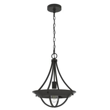 Hunter Perch Point 1-Light Pendant in Noble Bronze