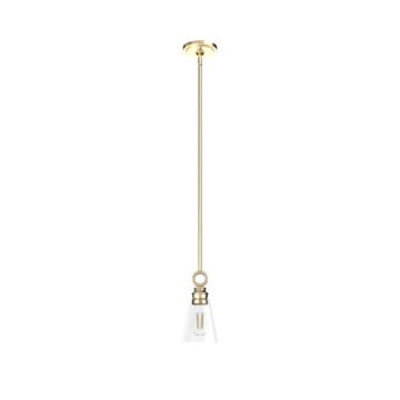 Hunter Klein 1-Light Glass Pendant in Alturas Gold