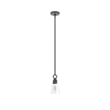 Hunter Klein 1-Light Glass Pendant in Noble Bronze