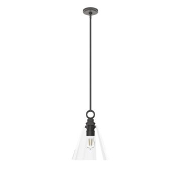 Hunter Klein 1-Light Glass Pendant in Noble Bronze