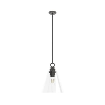 Hunter Klein 1-Light Glass Pendant in Noble Bronze