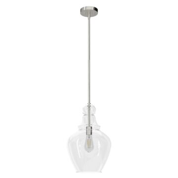 Hunter Maple Park 1-Light Pendant in Brushed Nickel