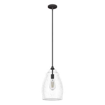 Hunter Dunshire Curved Vase Clear Seeded Glass 1-Light 10.5 Inch Medium Pendant in Noble Bronze