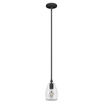 Hunter Dunshire Curved Vase Clear Glass 1-Light 5.25 Inch Mini Pendant in Noble Bronze