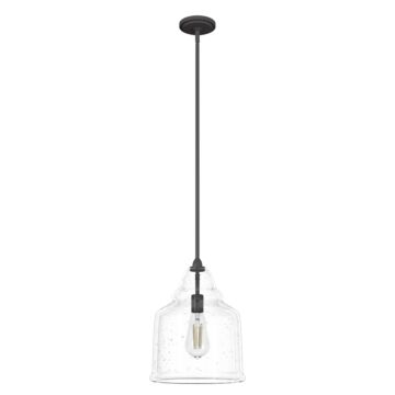 Hunter Dunshire Bell Clear Seeded Glass 1-Light 12 Inch Medium Pendant in Noble Bronze