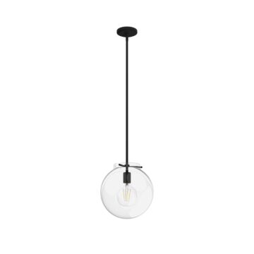 Hunter Sacha 1-Light Pendant in Natural Iron