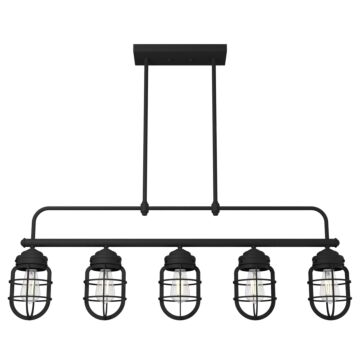 Hunter Starklake 5-Light Linear Chandelier in Natural Iron