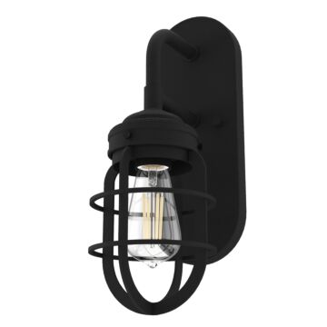 Hunter Starklake 1-Light Wall Sconce in Natural Iron