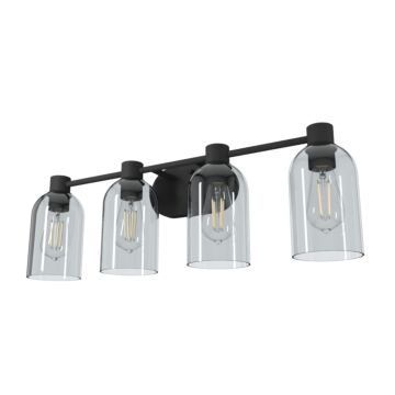 Hunter Lochmeade Clear Seeded Glass 4-Light Bathroom Vanity Light in Natural Iron
