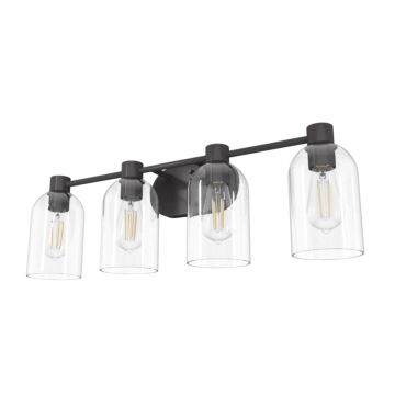 Hunter Lochmeade Clear Seeded Glass 4-Light Bathroom Vanity Light in Noble Bronze